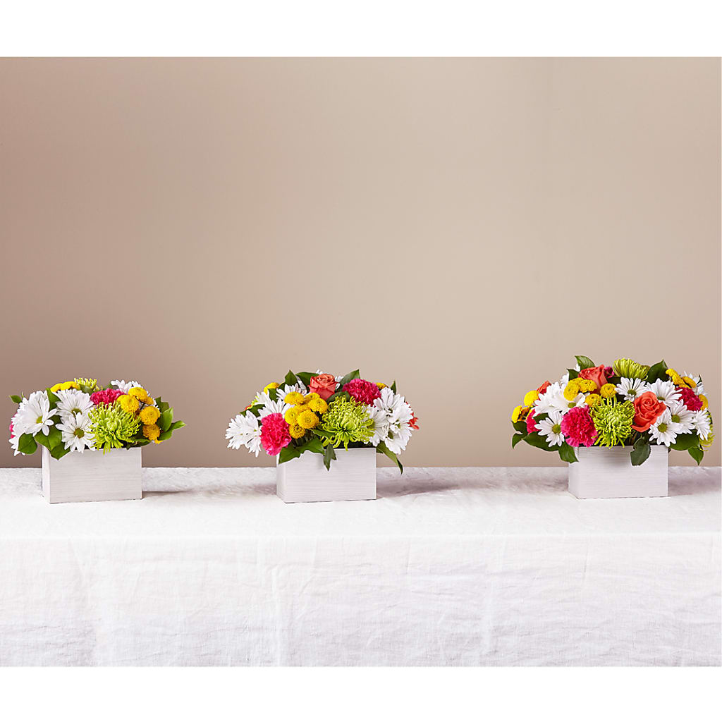 Sorbet Bouquet – TIGERLILY'S FLOWERS, Broken Arrow OK
