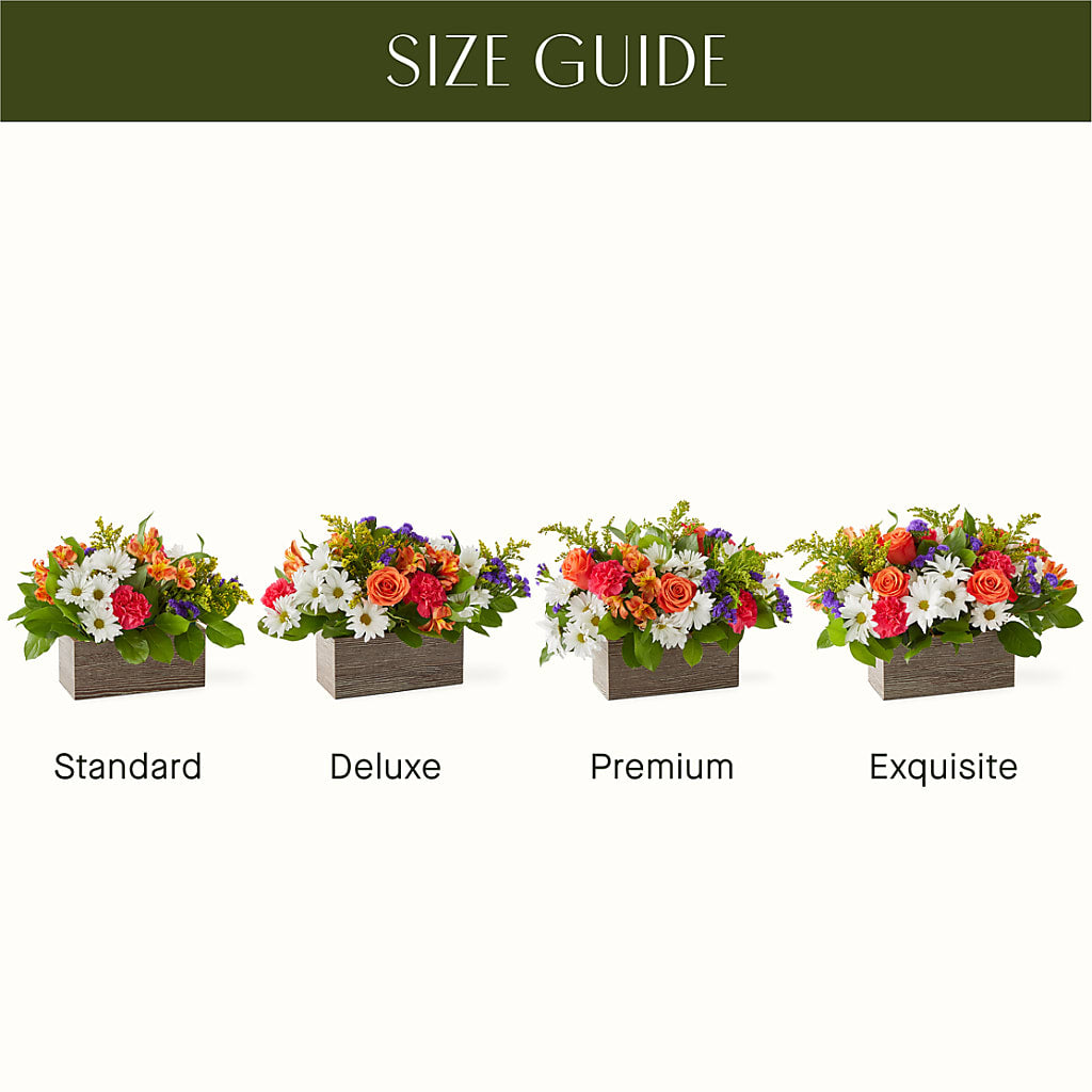 Oopsie Daisy Box Bouquet – TIGERLILY'S FLOWERS, Broken Arrow OK