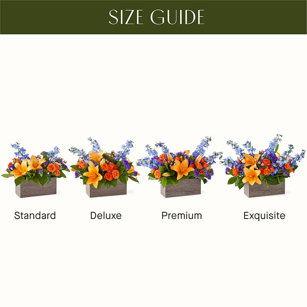Radiant Citrus Box Bouquet – TIGERLILY'S FLOWERS, Broken Arrow OK