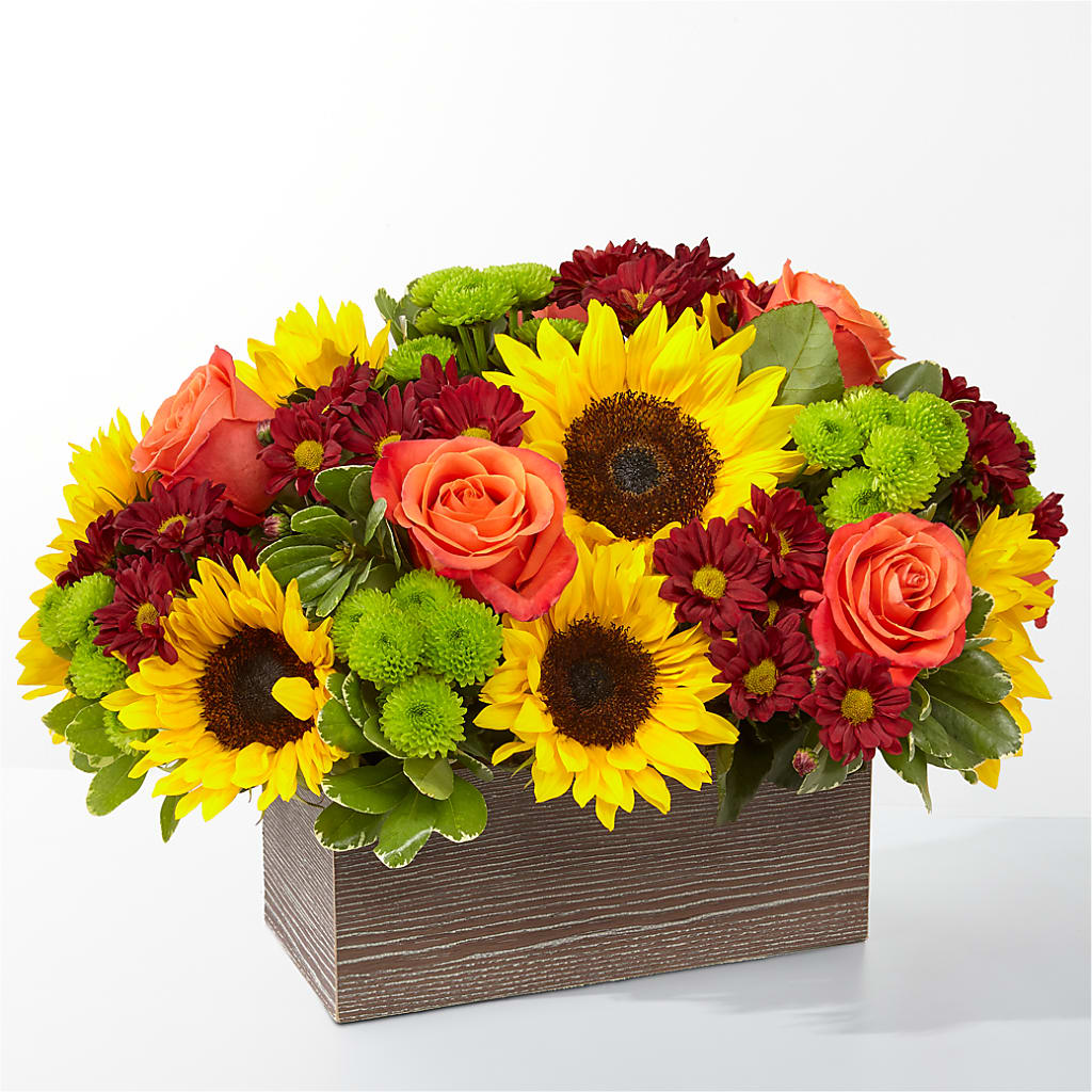 Happy Harvest Garden – TIGERLILY'S FLOWERS, Broken Arrow OK