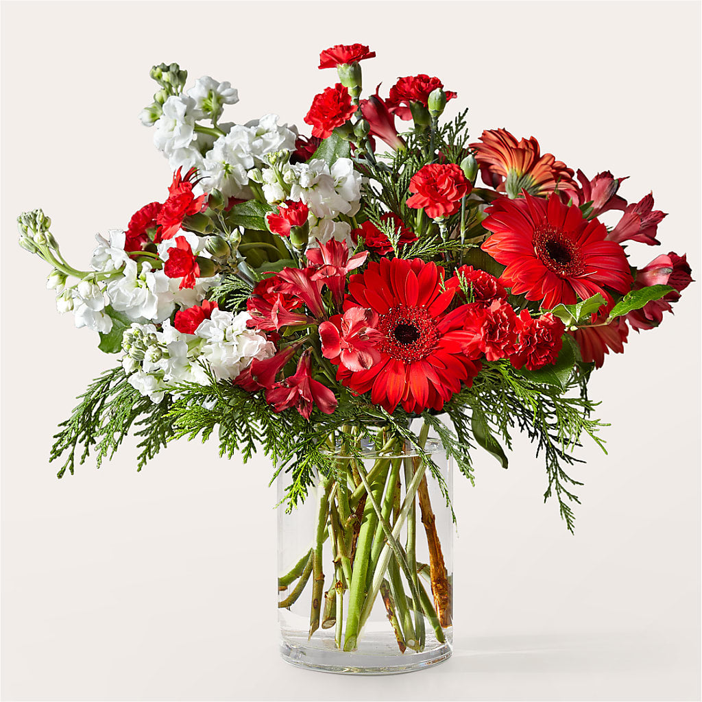 Holidaisy Bouquet – TIGERLILY'S FLOWERS, Broken Arrow OK