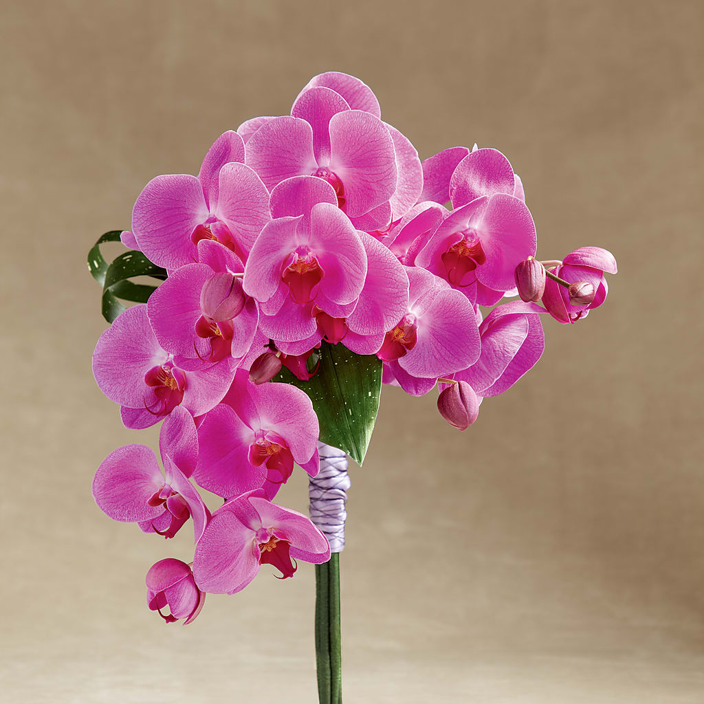 Glorious Bouquet – TIGERLILY'S FLOWERS, Broken Arrow OK