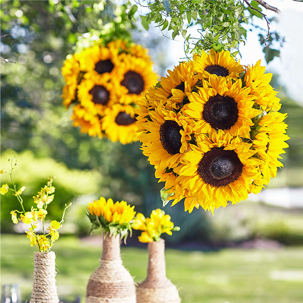 Sublime Garden Hanging Arrangement – TIGERLILY'S FLOWERS, Broken Arrow OK