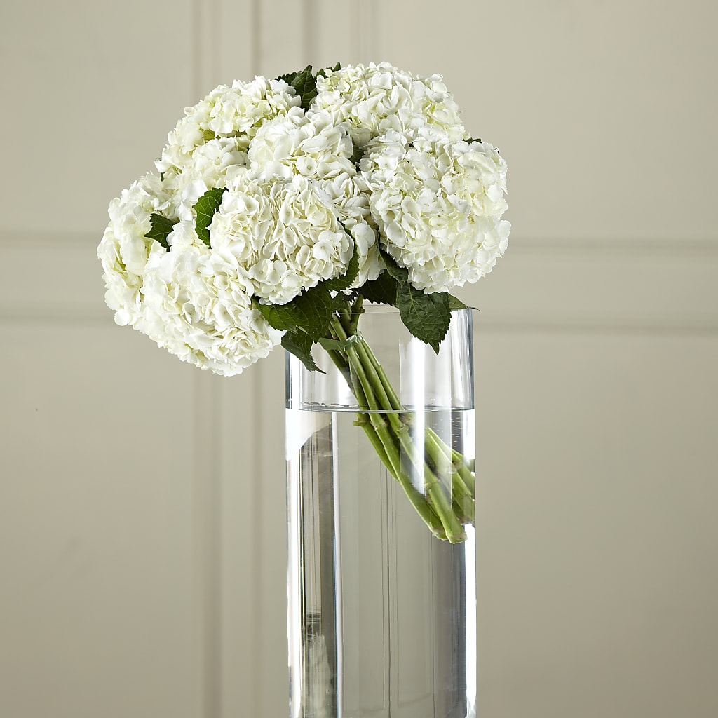 White Hydrangea Hand-Tied Bouquet – TIGERLILY'S FLOWERS, Broken Arrow OK