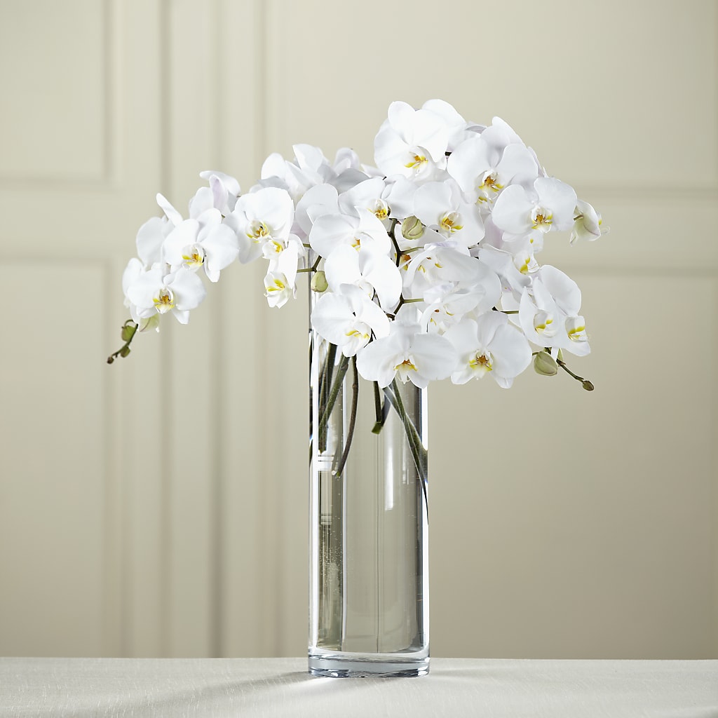 White Phalaenopsis Bouquet – TIGERLILY'S FLOWERS, Broken Arrow OK