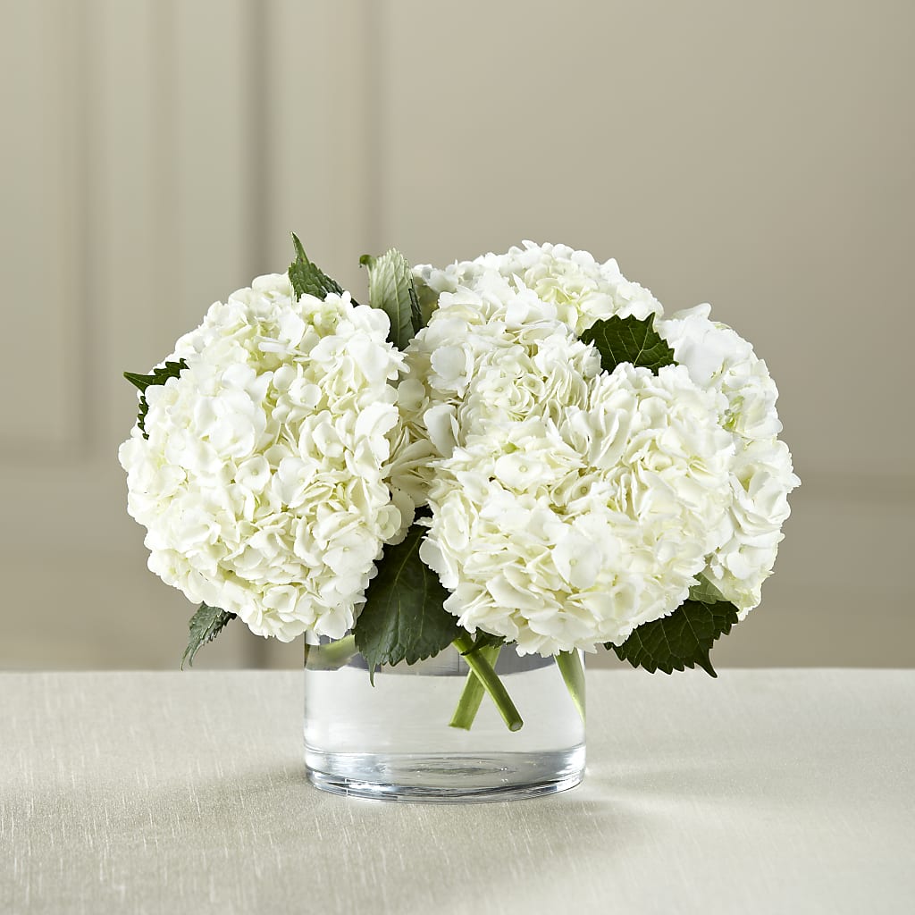 White Hydrangea Bouquet – TIGERLILY'S FLOWERS, Broken Arrow OK
