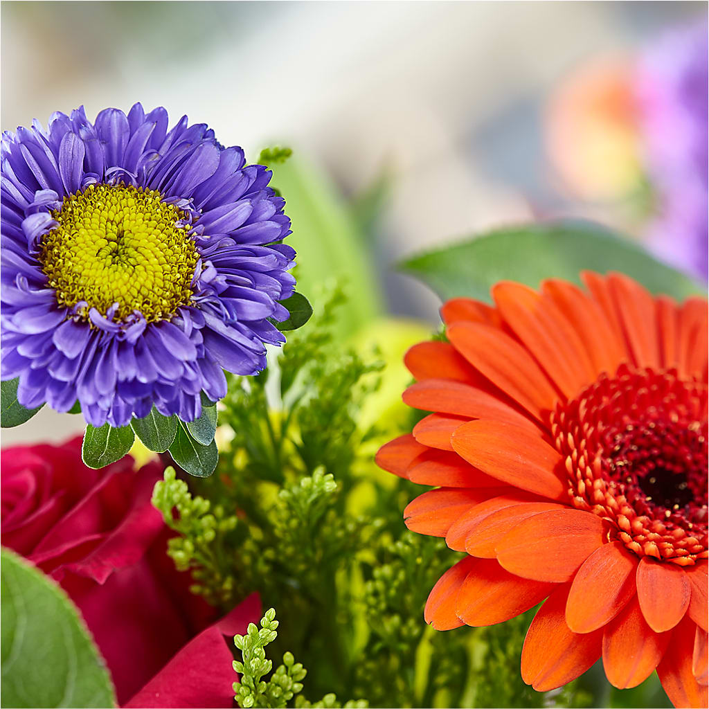 Bold & Bright – A Florist Original – TIGERLILY'S FLOWERS, Broken Arrow OK
