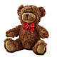 Adorable Plush Bear – TIGERLILY'S FLOWERS, Broken Arrow OK