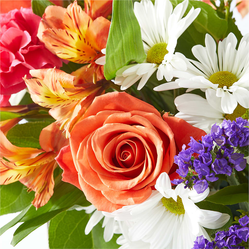 Oopsie Daisy Box Bouquet – TIGERLILY'S FLOWERS, Broken Arrow OK