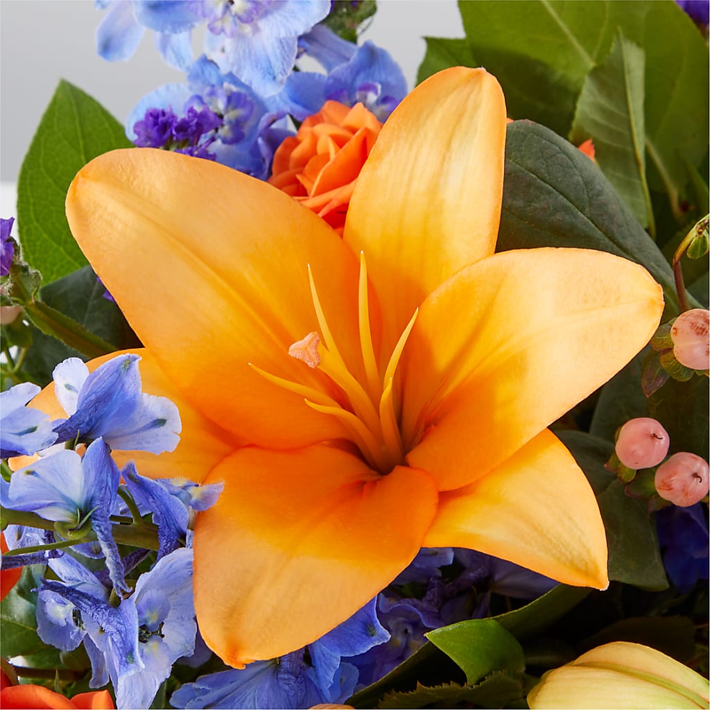 Radiant Citrus Box Bouquet – TIGERLILY'S FLOWERS, Broken Arrow OK