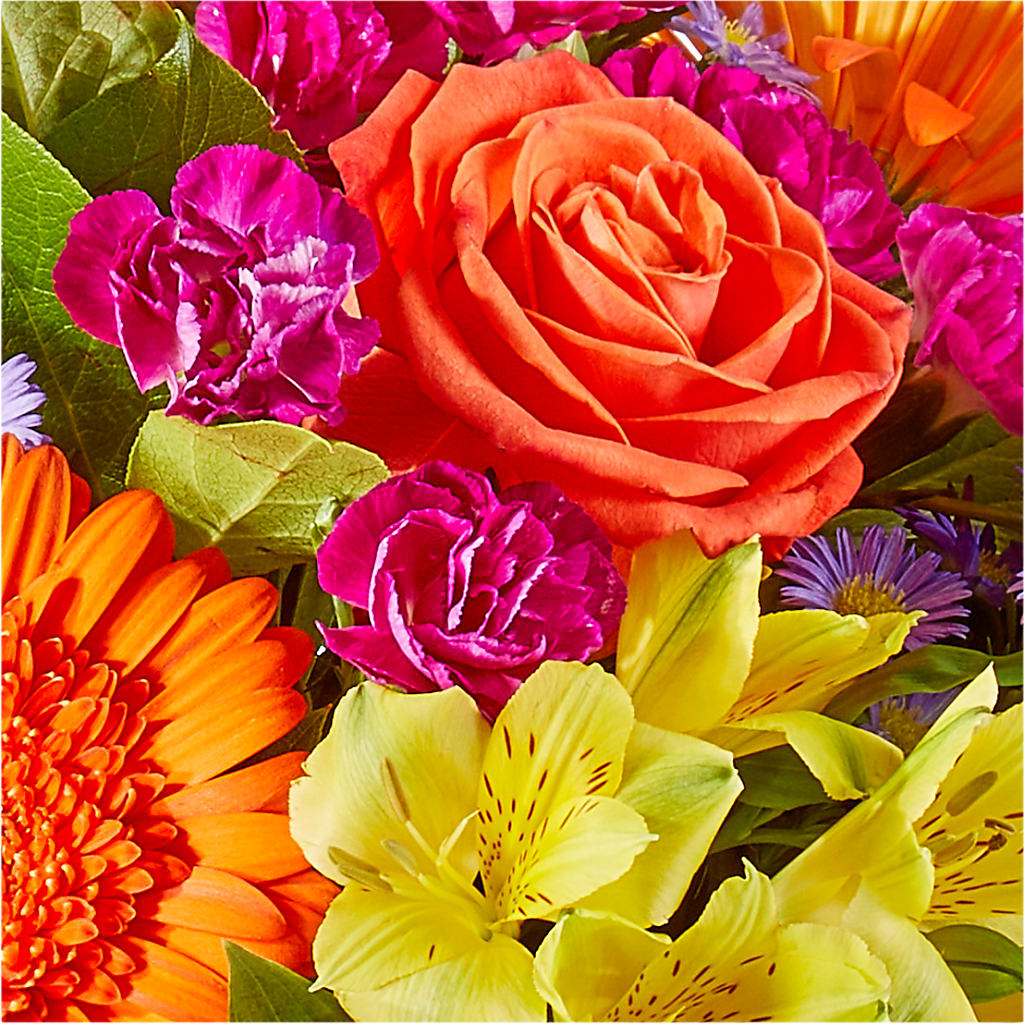 Tricks & Treats Pumpkin – TIGERLILY'S FLOWERS, Broken Arrow OK