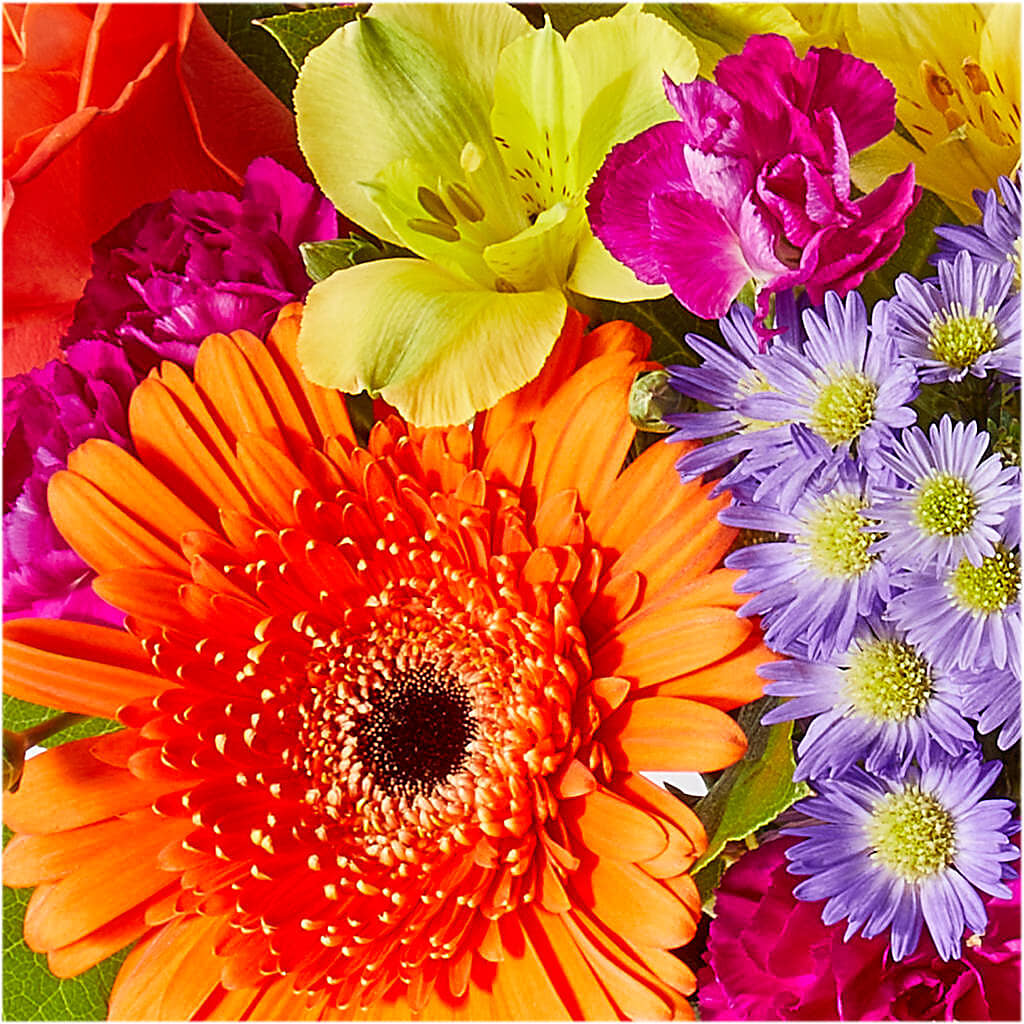 Tricks & Treats Pumpkin – TIGERLILY'S FLOWERS, Broken Arrow OK