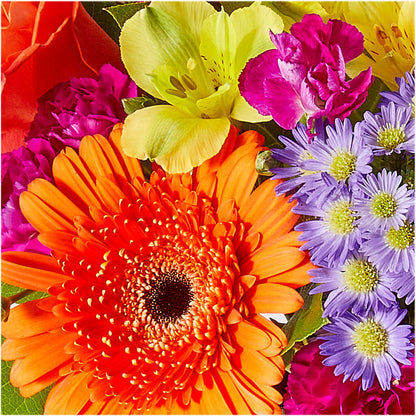 Tricks & Treats Pumpkin – TIGERLILY'S FLOWERS, Broken Arrow OK