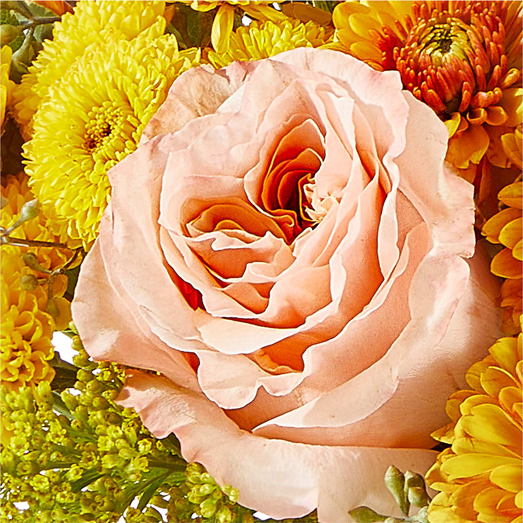 Peachy Pumpkin – TIGERLILY'S FLOWERS, Broken Arrow OK