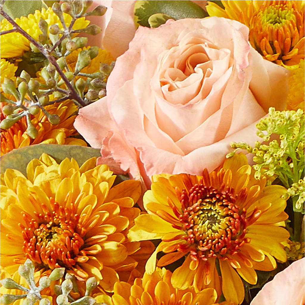 Peachy Pumpkin – TIGERLILY'S FLOWERS, Broken Arrow OK
