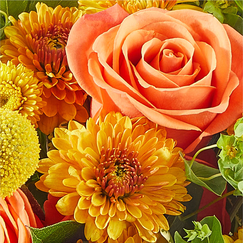 Gourdgeous Pumpkin – TIGERLILY'S FLOWERS, Broken Arrow OK