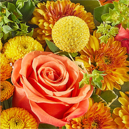 Gourdgeous Pumpkin – TIGERLILY'S FLOWERS, Broken Arrow OK
