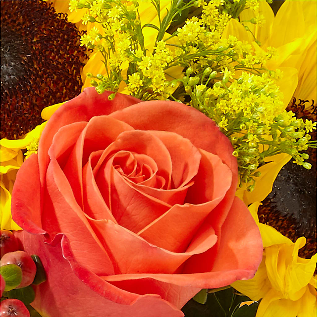 Pick of the Patch Pumpkin Bouquet – TIGERLILY'S FLOWERS, Broken Arrow OK