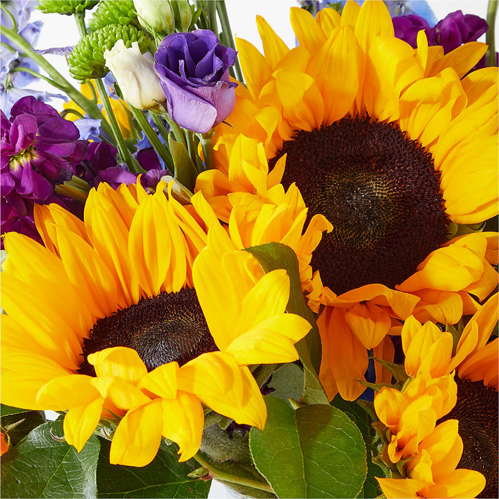 Catching Rays Bouquet – TIGERLILY'S FLOWERS, Broken Arrow OK