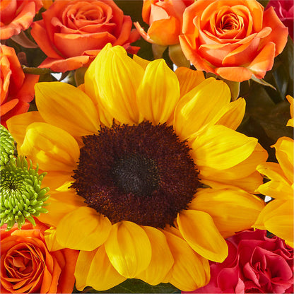 Sun-drenched Blooms Box Bouquet – TIGERLILY'S FLOWERS, Broken Arrow OK
