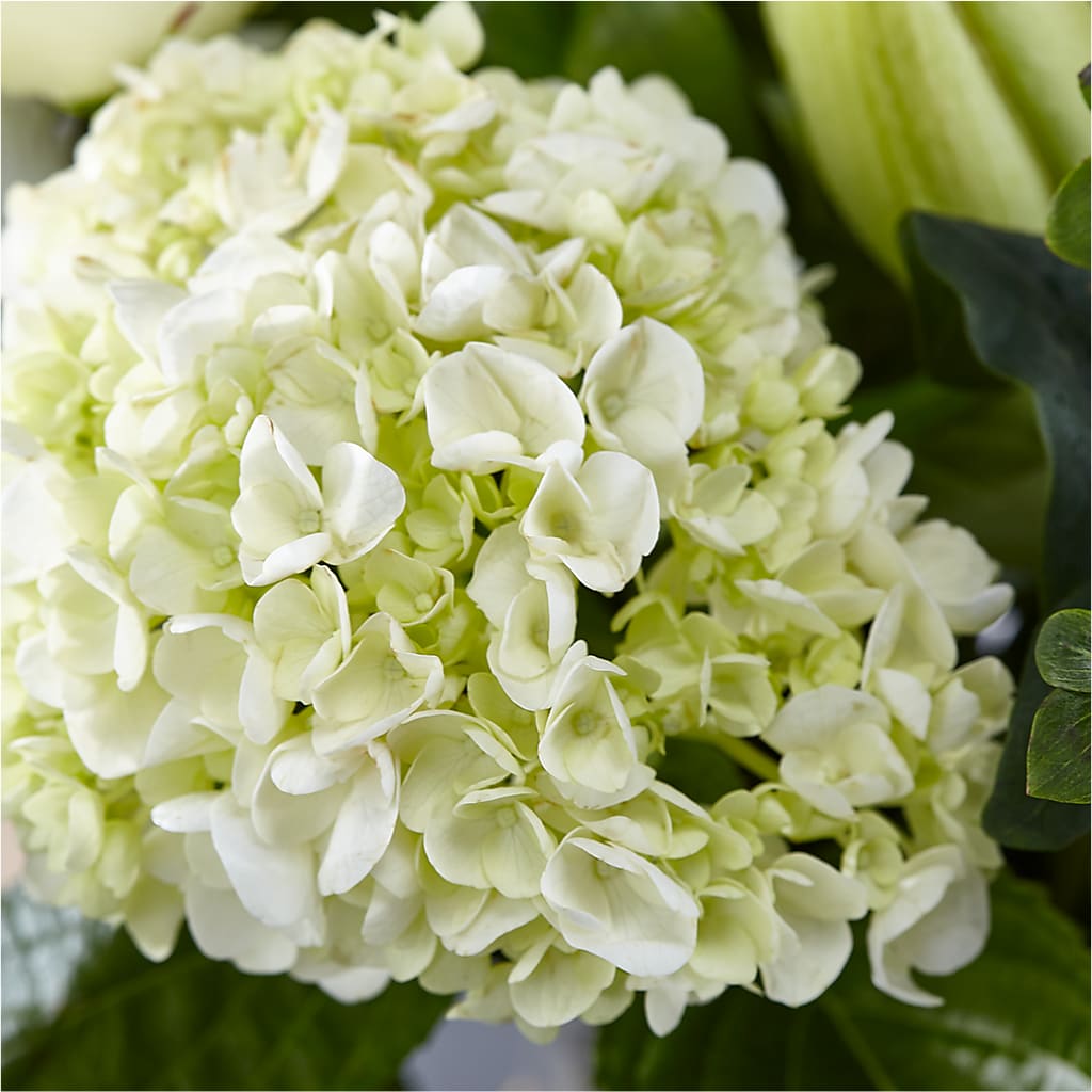 Classic Ivory – A Florist Original – TIGERLILY'S FLOWERS, Broken Arrow OK