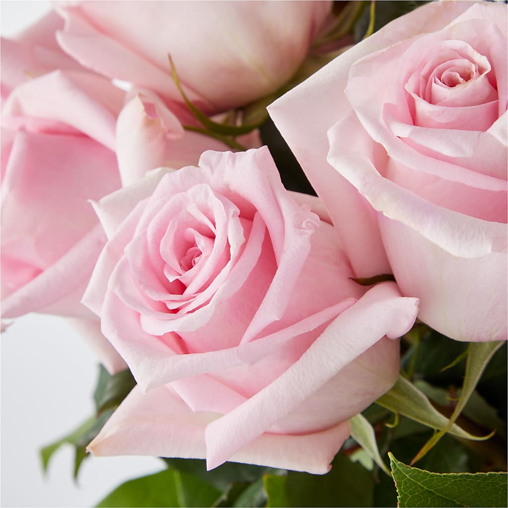 Picture Perfect Pink Rose Bouquet – TIGERLILY'S FLOWERS, Broken Arrow OK
