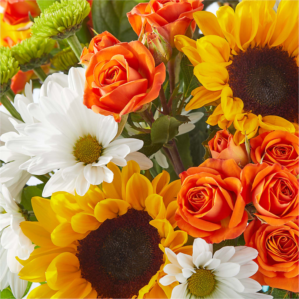 Sun-drenched Blooms Bouquet – TIGERLILY'S FLOWERS, Broken Arrow OK