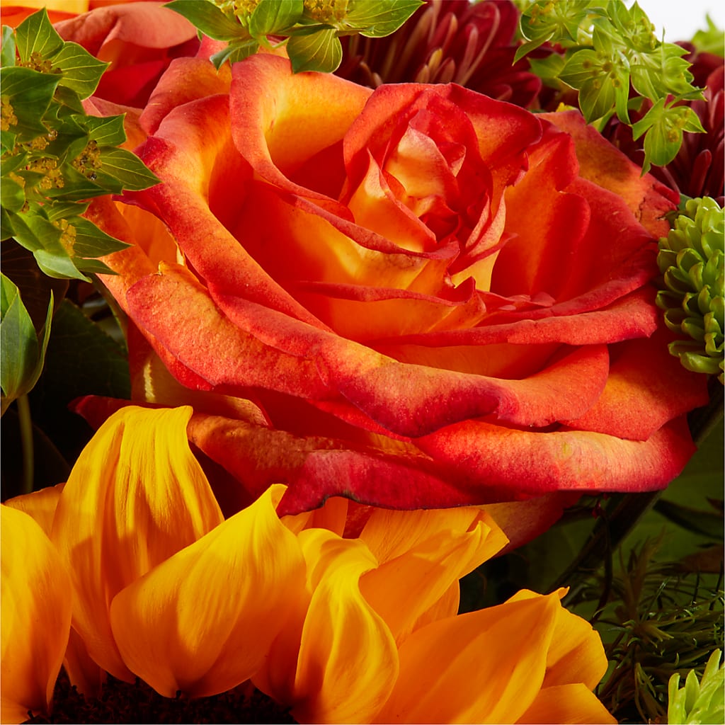 Harvest Festival Bouquet – TIGERLILY'S FLOWERS, Broken Arrow OK