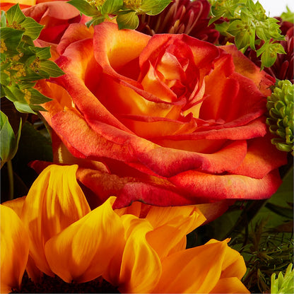 Harvest Festival Bouquet – TIGERLILY'S FLOWERS, Broken Arrow OK