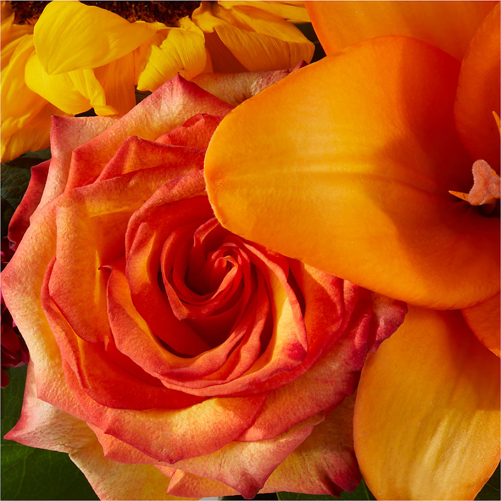 Grateful Centerpiece – TIGERLILY'S FLOWERS, Broken Arrow OK