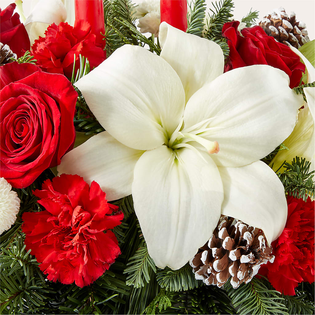 Seasonal Festivities Centerpiece – TIGERLILY'S FLOWERS, Broken Arrow OK