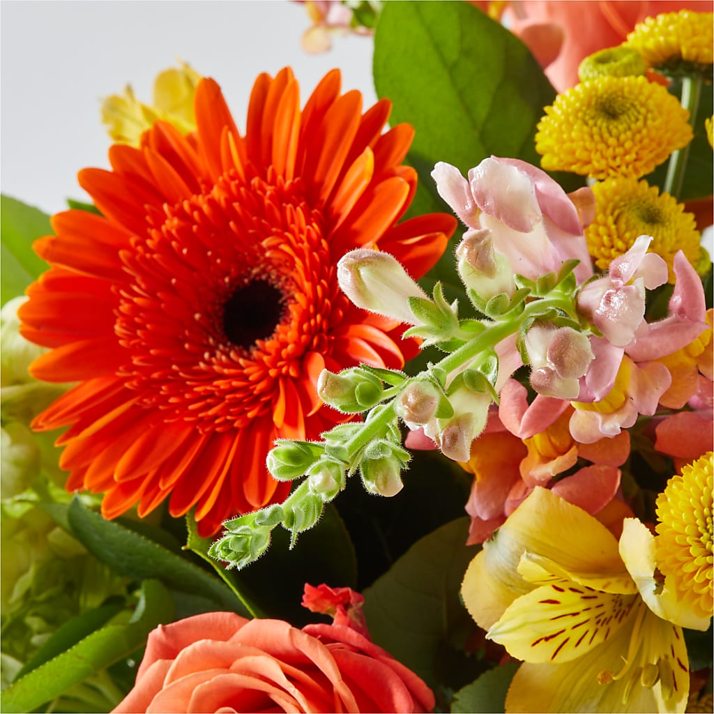 Autumn Sunshine Bouquet – TIGERLILY'S FLOWERS, Broken Arrow OK