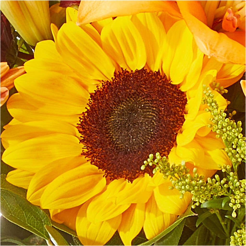 Seasons Change Bouquet – TIGERLILY'S FLOWERS, Broken Arrow OK