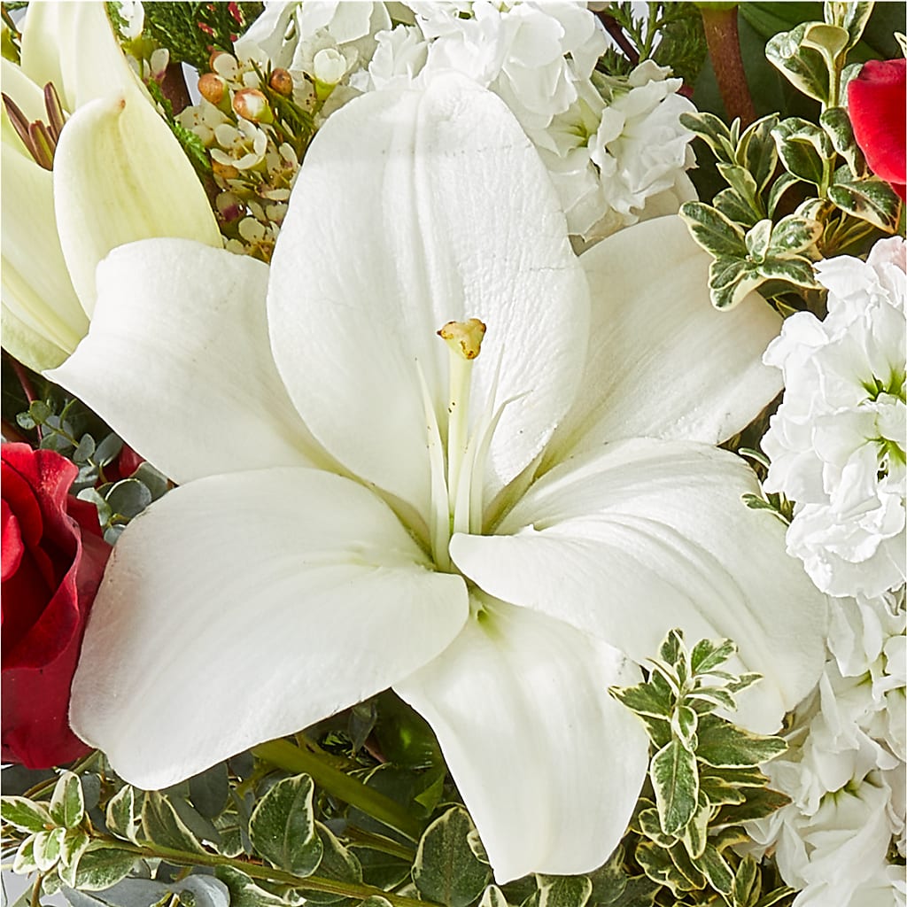 Twinkle Lights Bouquet – TIGERLILY'S FLOWERS, Broken Arrow OK