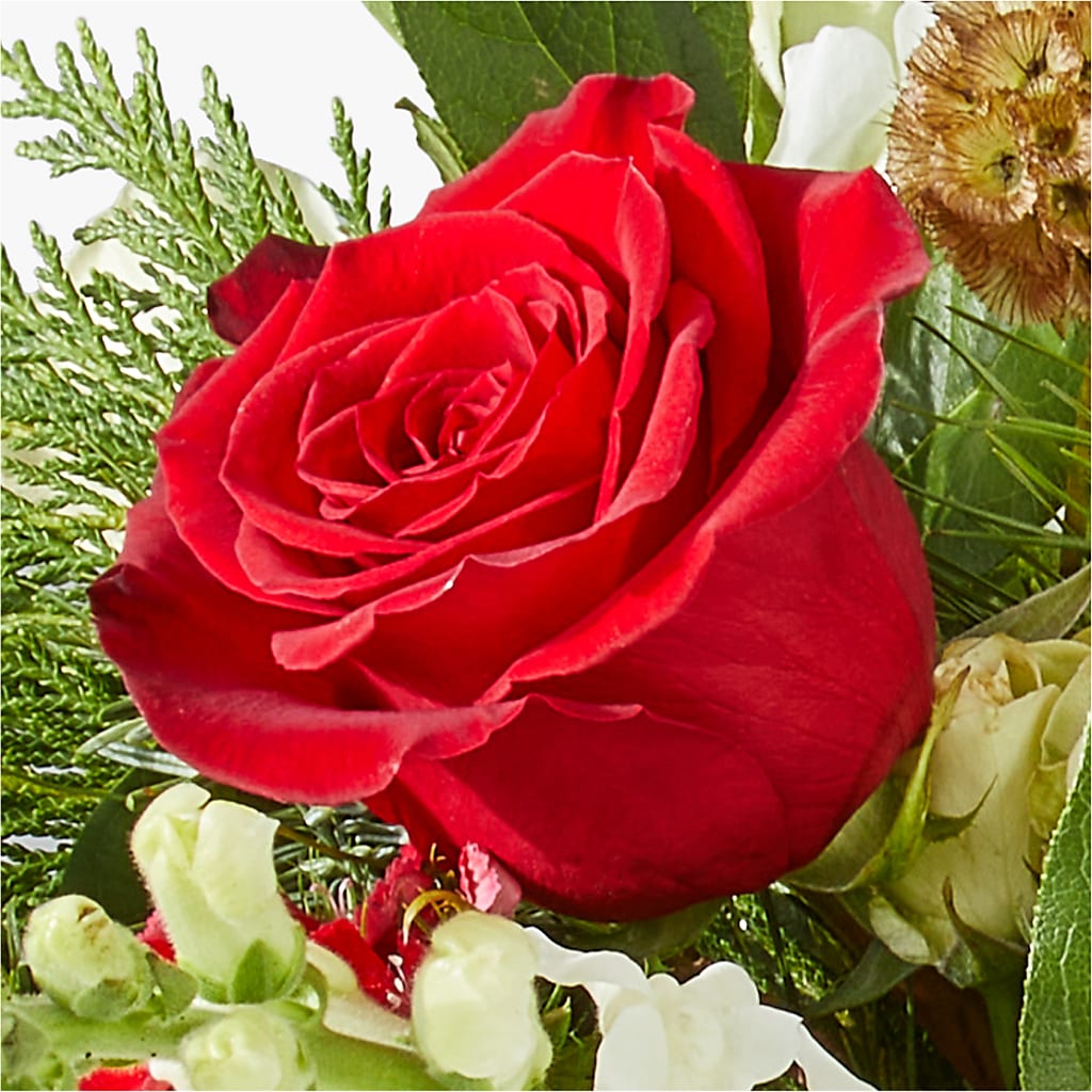 Deck the Halls Bouquet – TIGERLILY'S FLOWERS, Broken Arrow OK