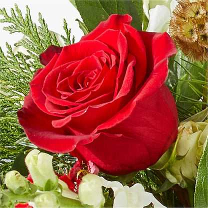 Deck the Halls Bouquet – TIGERLILY'S FLOWERS, Broken Arrow OK