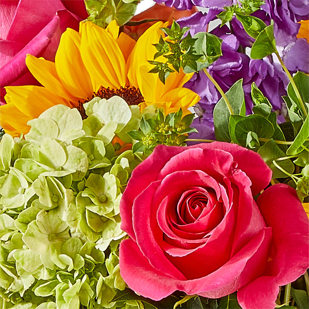 Vibrant Greetings Bouquet – TIGERLILY'S FLOWERS, Broken Arrow OK