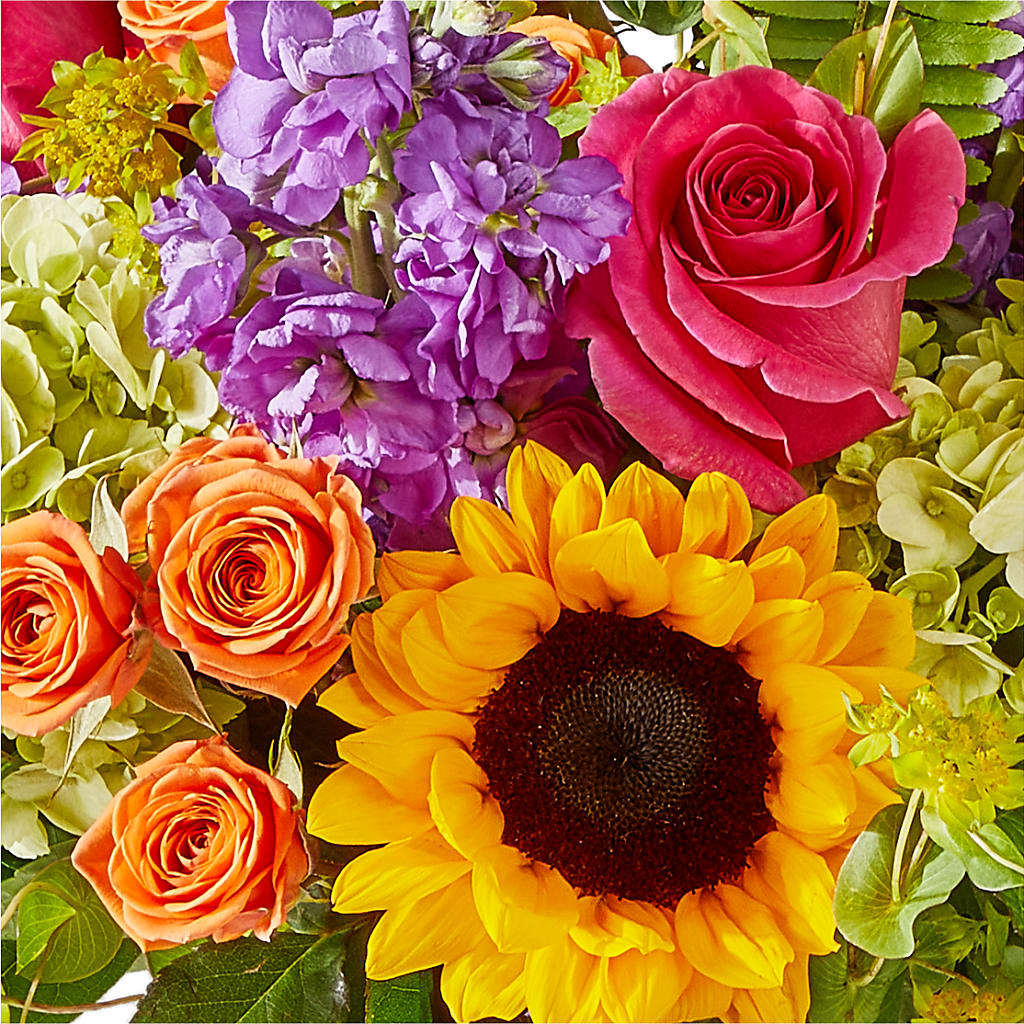 Vibrant Greetings Bouquet – TIGERLILY'S FLOWERS, Broken Arrow OK