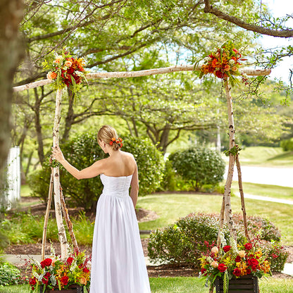 Arbor of Love Archway – TIGERLILY'S FLOWERS, Broken Arrow OK