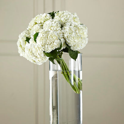 White Hydrangea Hand-Tied Bouquet – TIGERLILY'S FLOWERS, Broken Arrow OK