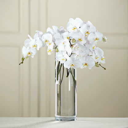 White Phalaenopsis Bouquet – TIGERLILY'S FLOWERS, Broken Arrow OK