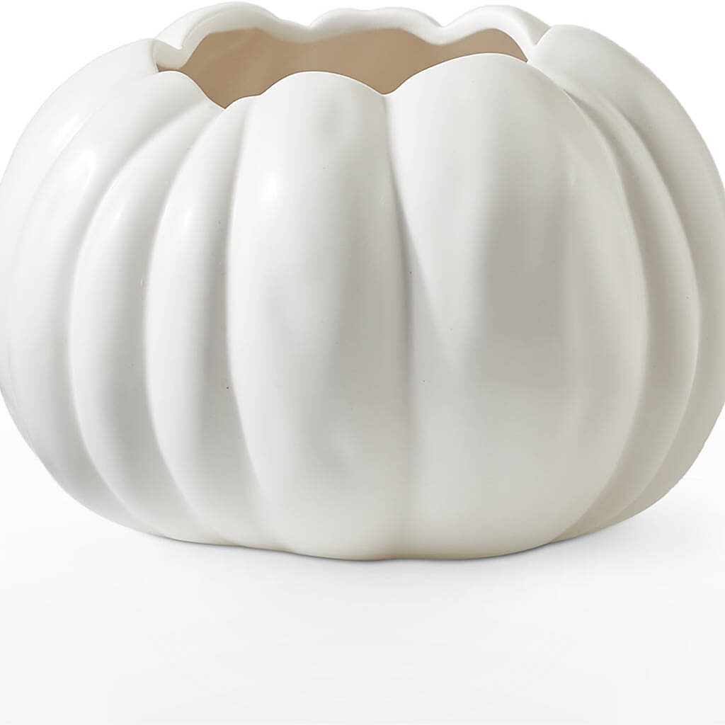 Autumn Air Pumpkin Bouquet – TIGERLILY'S FLOWERS, Broken Arrow OK
